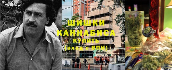шишки Осташков