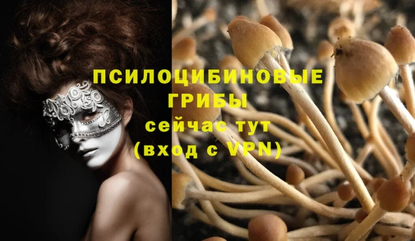 ГАЛЛЮЦИНОГЕННЫЕ ГРИБЫ Нягань
