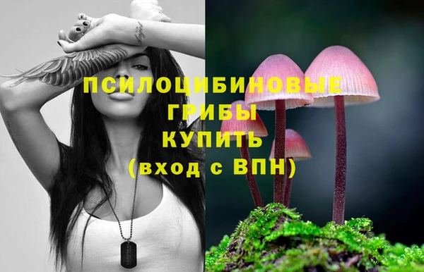 ГАЛЛЮЦИНОГЕННЫЕ ГРИБЫ Верея